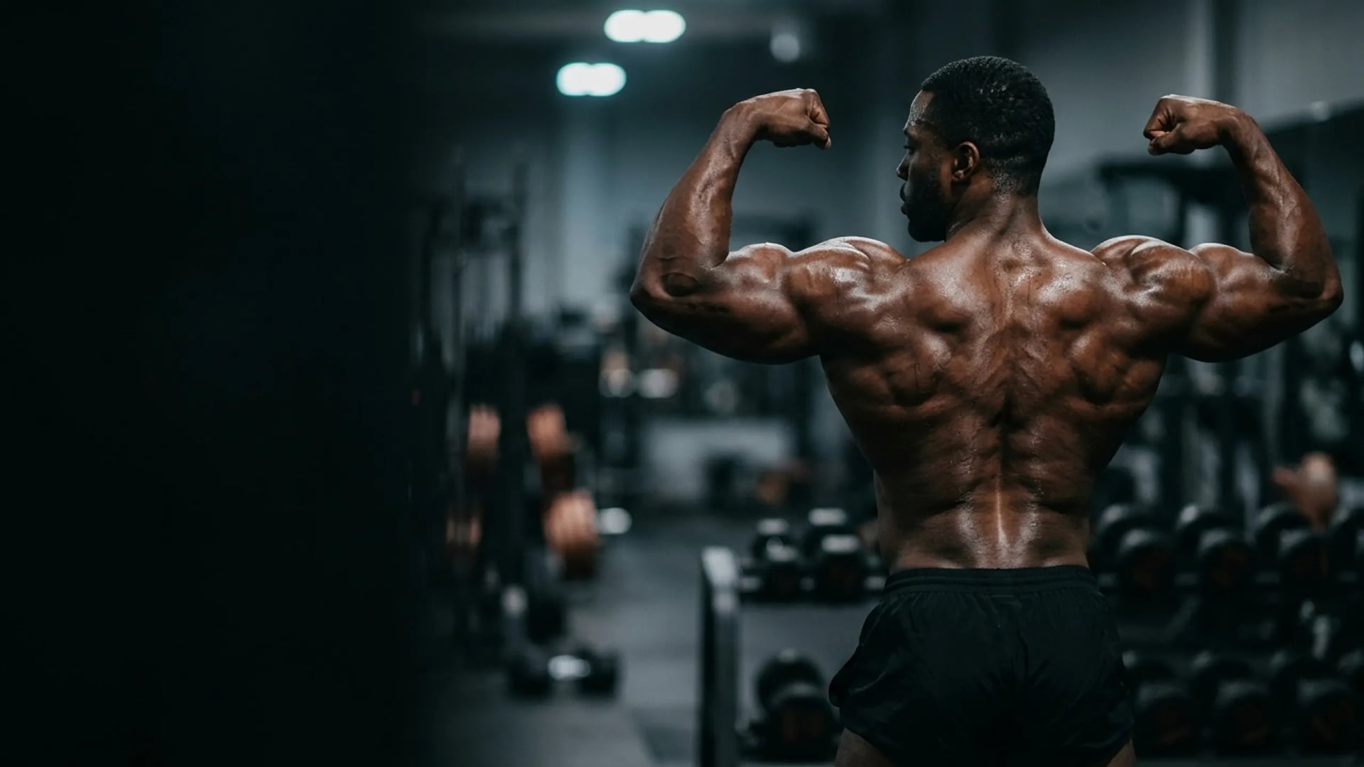 Desarrollo muscular